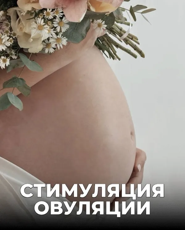 Стимуляция овуляции: зачем и как она проводится